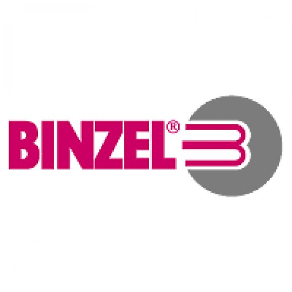 Logo of Binzel