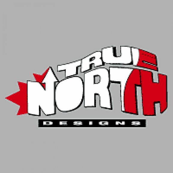 Logo of True North Designs