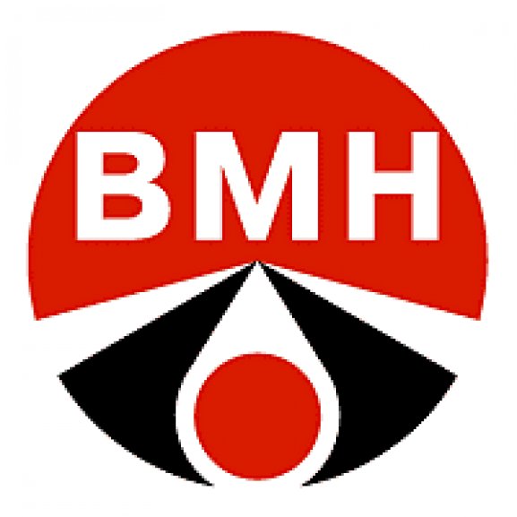 Logo of VMN