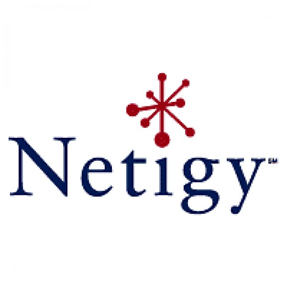 Logo of Netigy