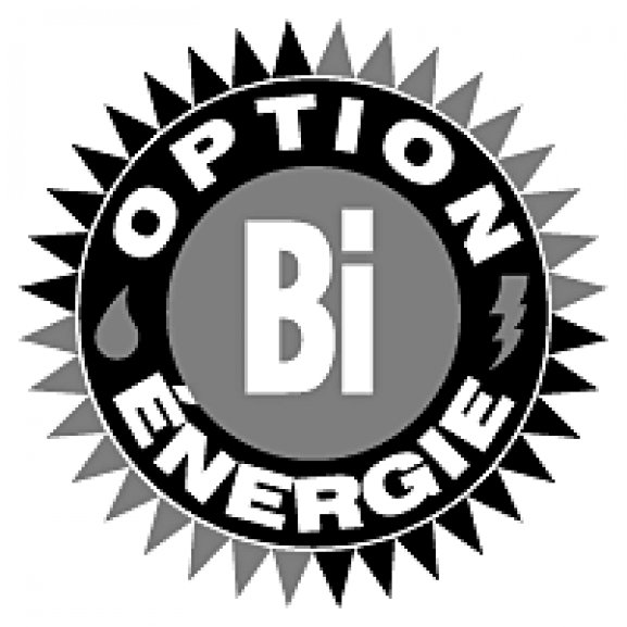Logo of Option Bi-energie