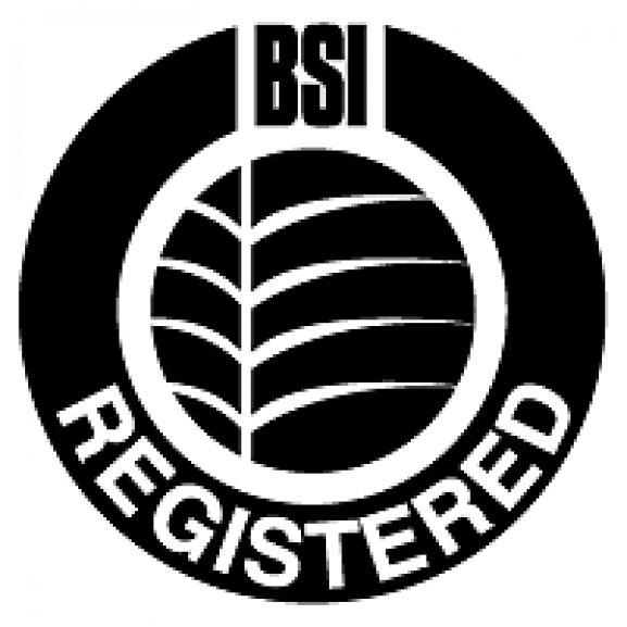 Logo of BSI