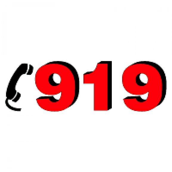 Logo of 919