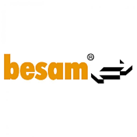 Logo of Besam