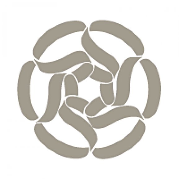 Logo of Stoneridge