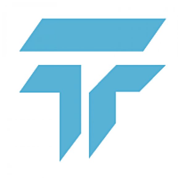Logo of Todini Gruppo
