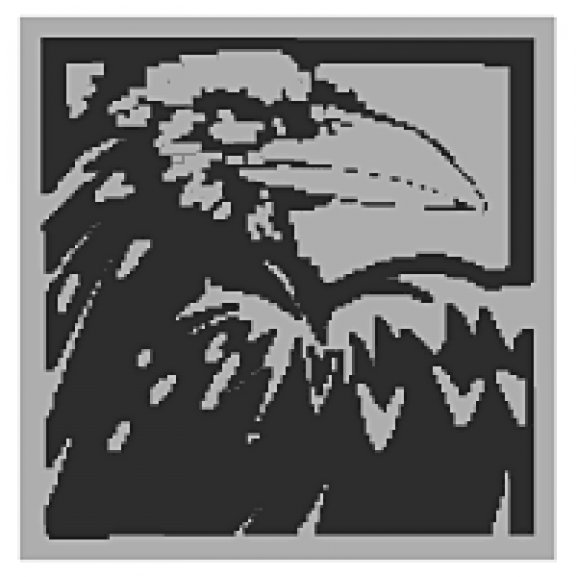 Logo of Raven