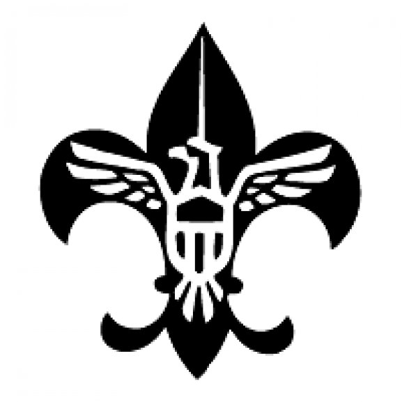 Logo of Scouting USA