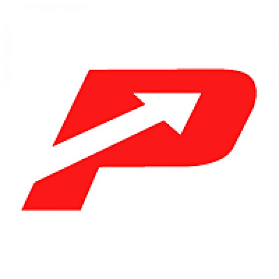 Logo of Pioner