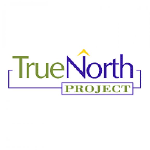 Logo of True North Project