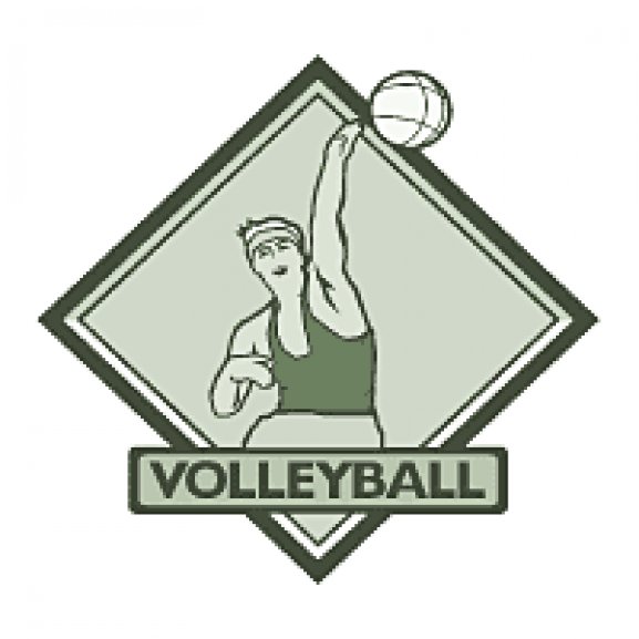 Logo of Volleyball