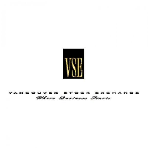 Logo of VSE