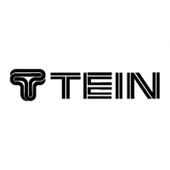 Logo of TEIN