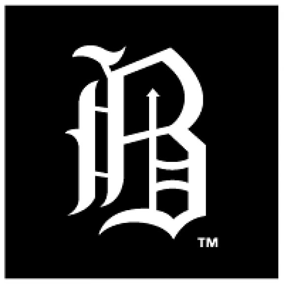 Logo of Birmingham Barons