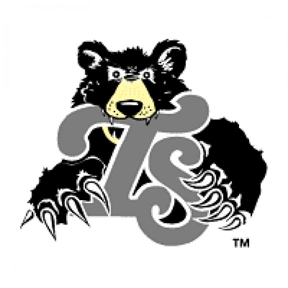 Logo of Tennessee Smokies