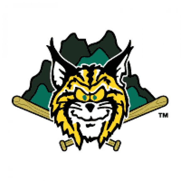 Logo of Lynchburg Hillcats