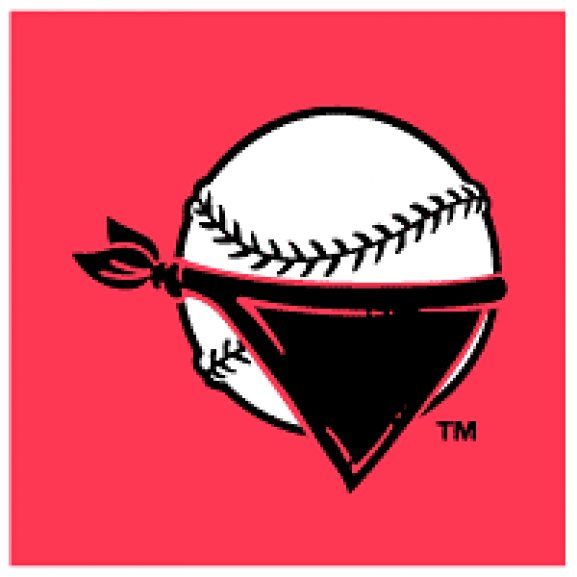 Logo of Quad City River Bandits