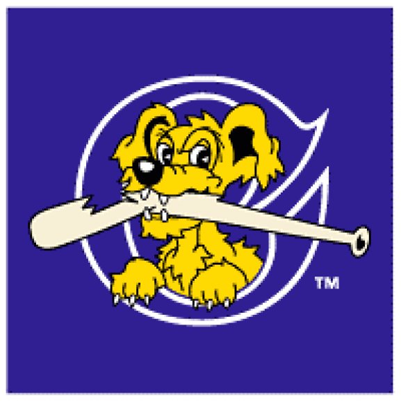 Logo of Charleston RiverDogs