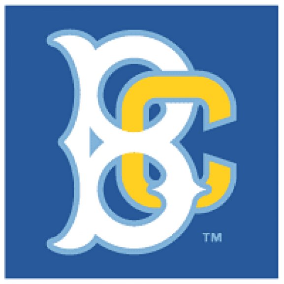 Logo of Brooklyn Cyclones