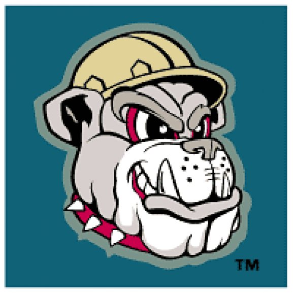 Logo of Mahoning Valley Scrappers