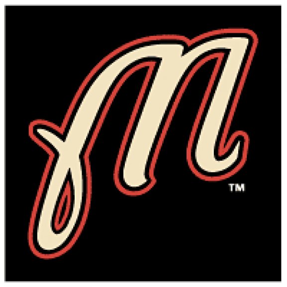 Logo of Martinsville Astros