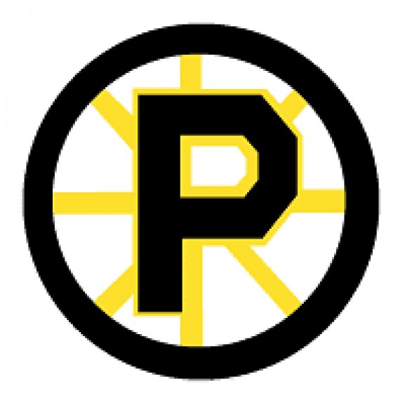 Logo of Providence Bruins