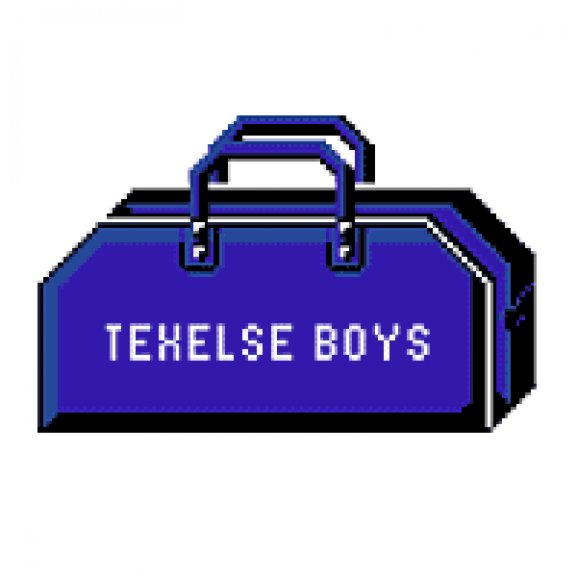 Logo of Texelse Boys