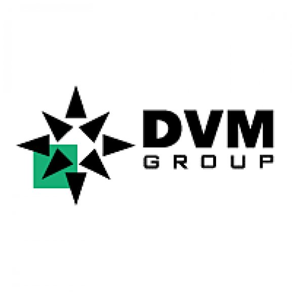 Logo of DVM Group