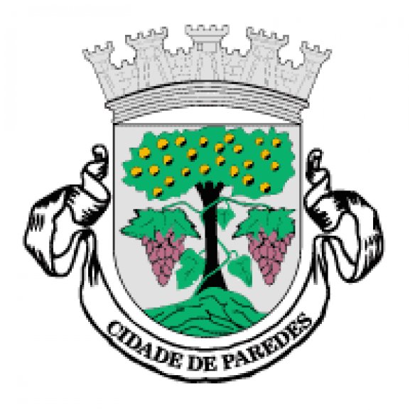 Logo of Camara Municipal de Paredes