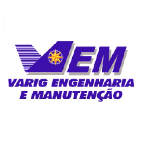 Logo of VEM
