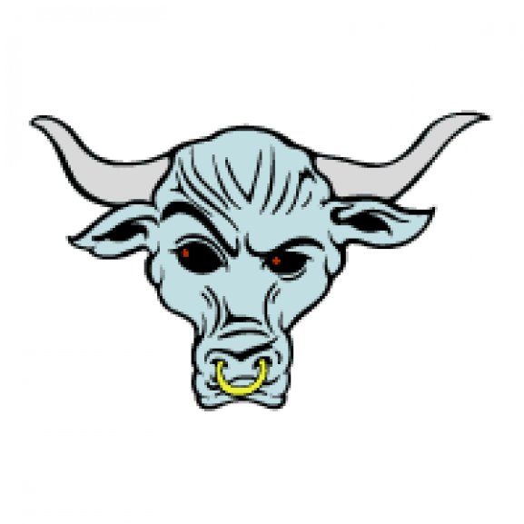Logo of Brahma Bull