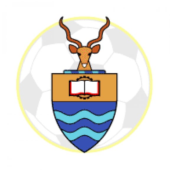Logo of Wits University FC