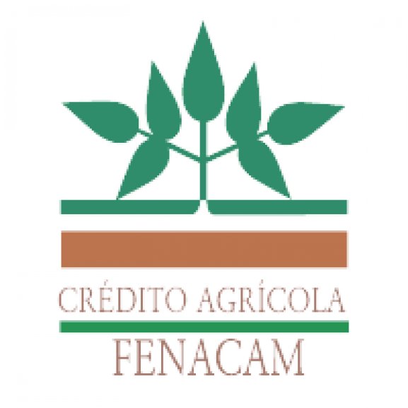 Logo of Fenacam