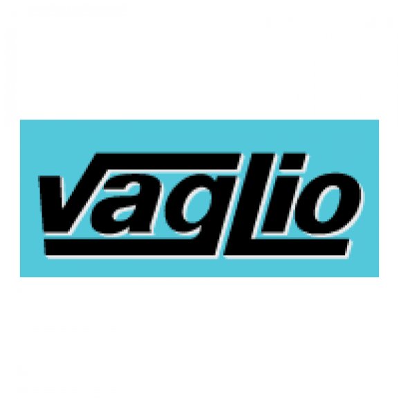 Logo of VAGLIO