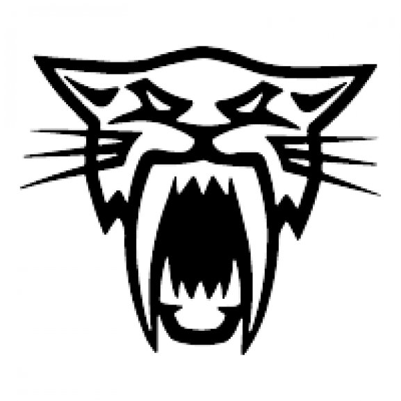 Logo of ARTIC CAT HEAD