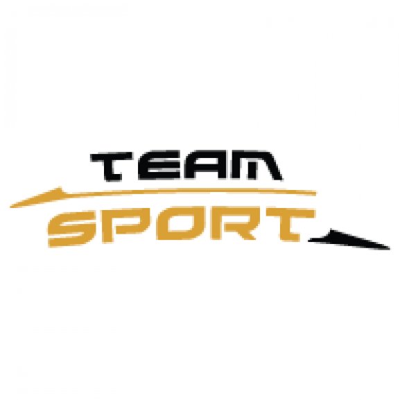 Logo of Atomic Team Sport Liner