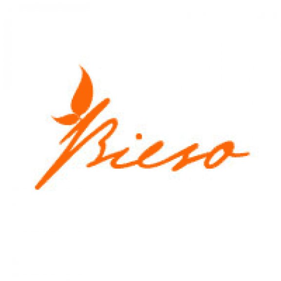 Logo of bieso