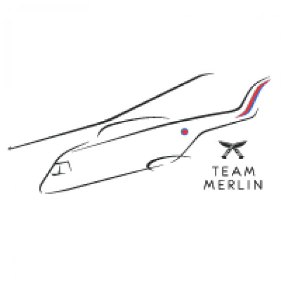 Logo of Team Merlin