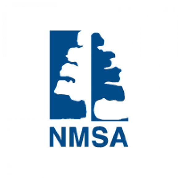 Logo of NMSA