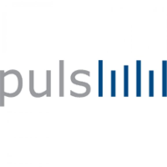 Logo of Puls Media