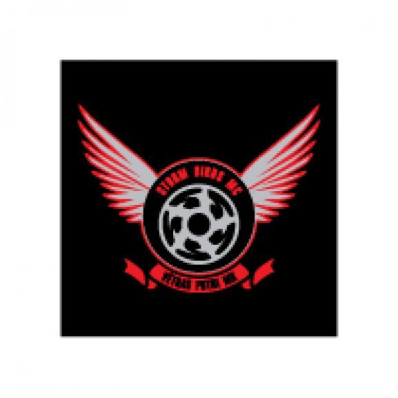 Logo of Vētras Putni