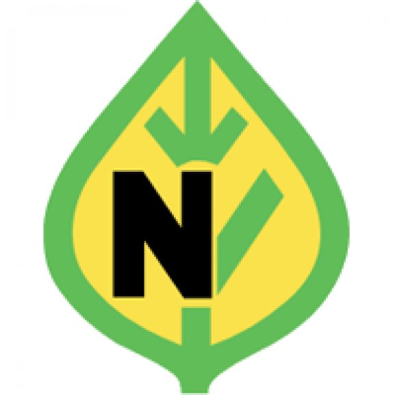 Logo of N logo