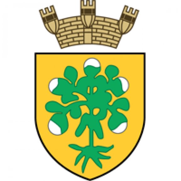 Logo of Bormla Local Council