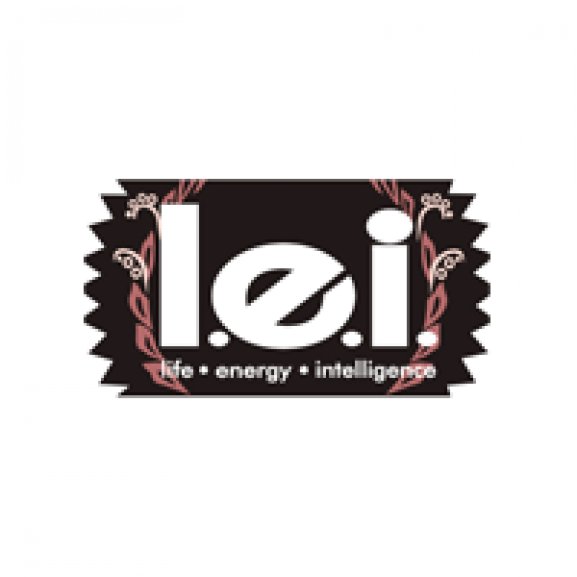 Logo of l.e.i. jeans