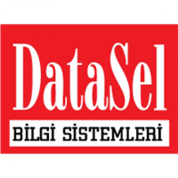Logo of DataSel Bilgi Sistemleri