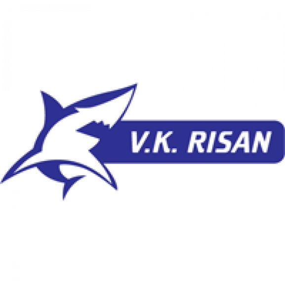 Logo of VK RISAN