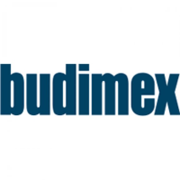 Logo of Budimex