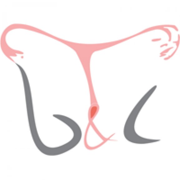 Logo of B&C Investments