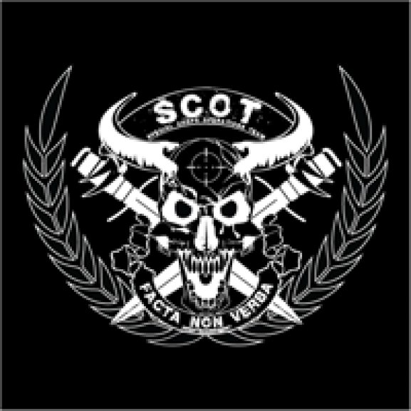 Logo of SCOT_stin