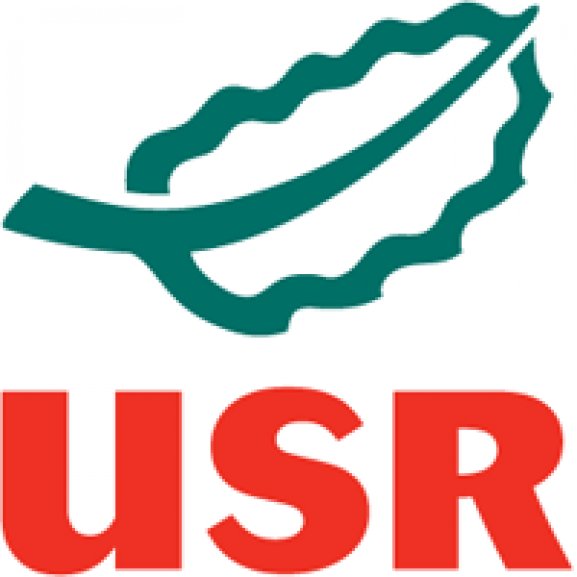 Logo of Unión por San Roque